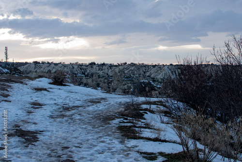 winter landscape with snow