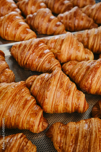 Hand takes fresh golden French croissant from the baking sheet. Fresh classic pastries. High quality photo