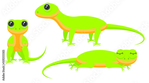 Set Abstract Collection Flat Cartoon Different Animal Lizards Reptile Stand  Sleeping Vector Design Style Elements Fauna Wildlife