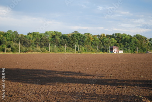 brown field, trees and sky