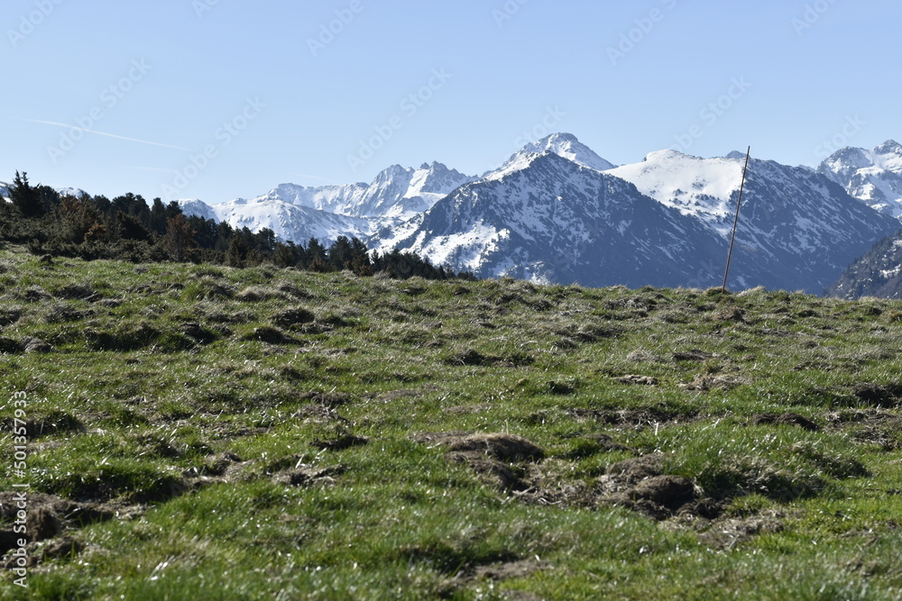 plateau de beille