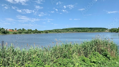 landscape with lake and grass