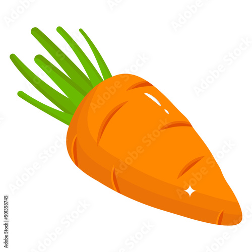 Carrot 