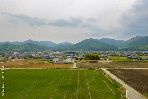 Roads pass green rows on farm in rural valley photo