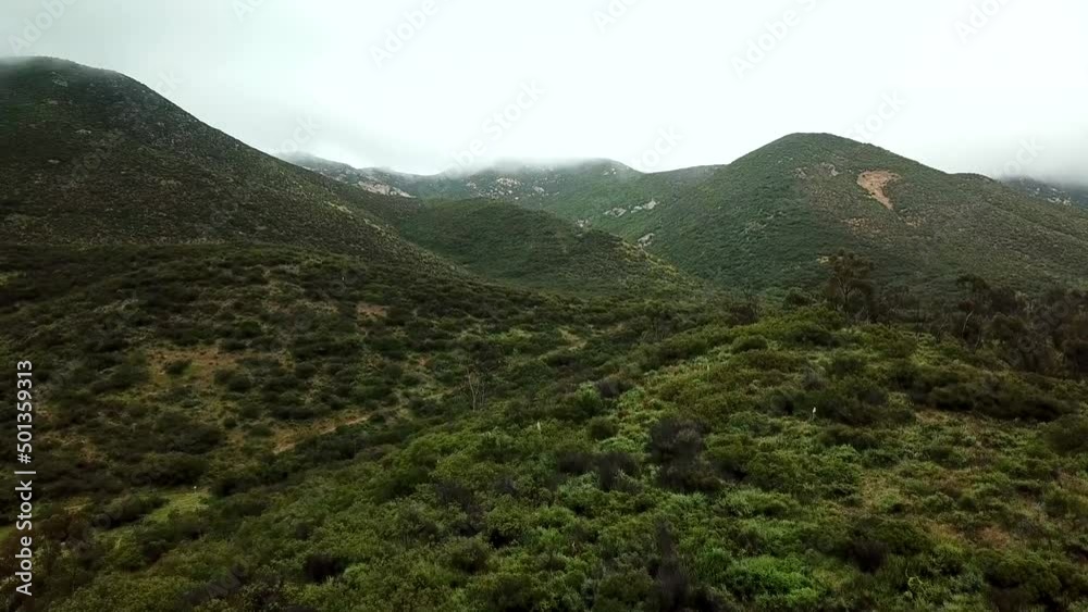 pushing in drone shot of forest overcast