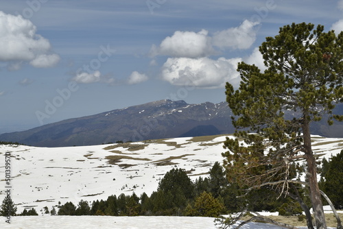 paysage au plateau de beille photo