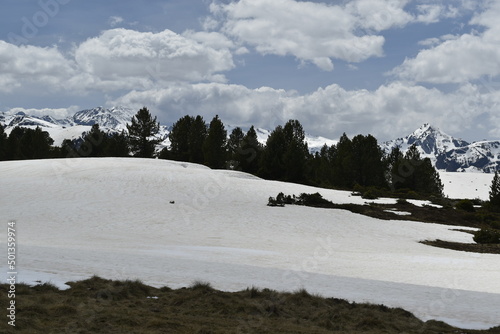 plateau de beille photo