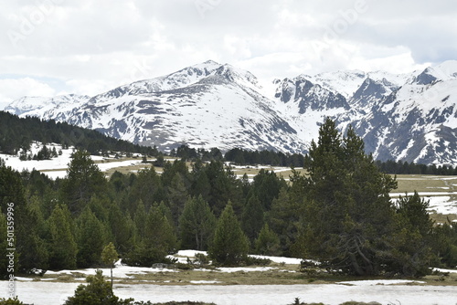 plateau de beille photo