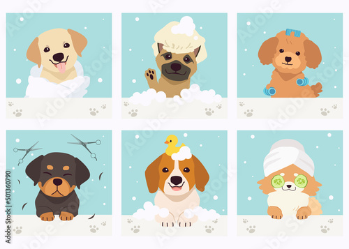 The collection of cute dog with spa and salon theme in flat vector style. Graphic resource about pet grooming for graphic, content, banner, greeting card.