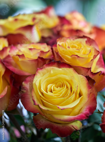 Floral arrangement with roses