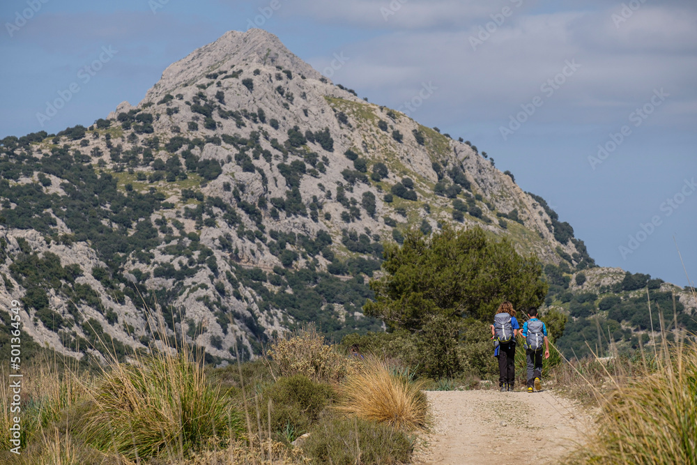 dry stone path GR221, Binimorat valley, Three Thousand Route, (Tres Mils), Fornalutx, Majorca, Balearic Islands, Spain
