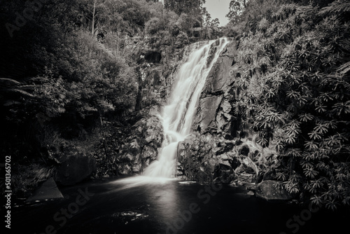 Steavenson Falls in Marysville Australia