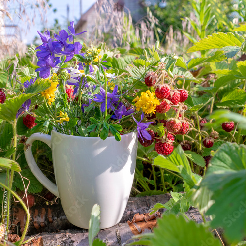 Fototapeta Naklejka Na Ścianę i Meble -  Summer bouquet of wildflowers and wild strawberries in the sunlight