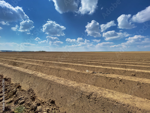 Rows of soil before planting. Furrows row pattern in a plowed field prepared for planting crops in spring. View with a deep blue sky with clouds.