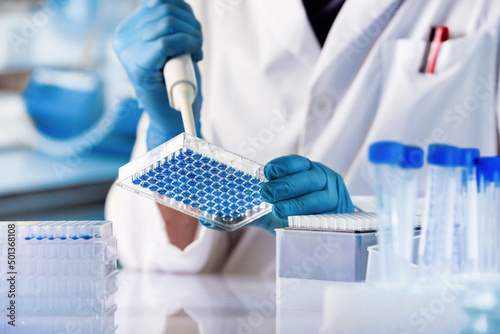 Researcher working with samples of tissue culture in microplate in the genetics laboratory. geneticist working with microplate for cells analysis in the genetic lab