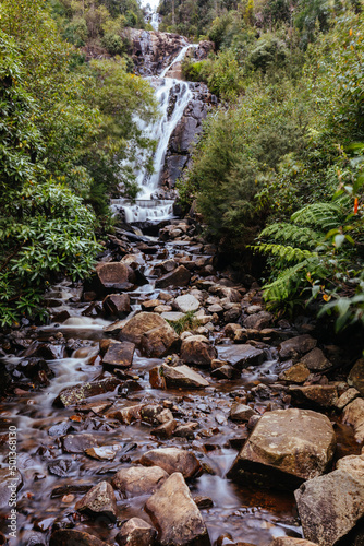 Steavenson Falls in Marysville Australia photo