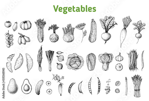 Leinwand Poster Vegetables drawing collection