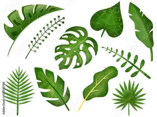 Elements of tropical leaf set, watercolor vector illustration