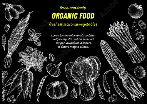 Vegetables sketch. Hand drawn illustration. Top view frame. Organic food poster. Good nutrition, healthy food. Vector illustration. Carrot, corn, tomato, garlic, asparagus, bok choy, cabbage, salad.