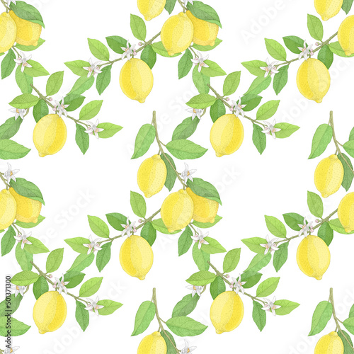 Lemons on a flowering tree, seamless pattern, floral ornament. Hand drawn botanical illustration. Image for textile, wallpaper, wrapping paper.