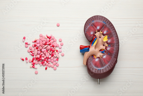 Kidney model and pills on white wooden table, flat lay