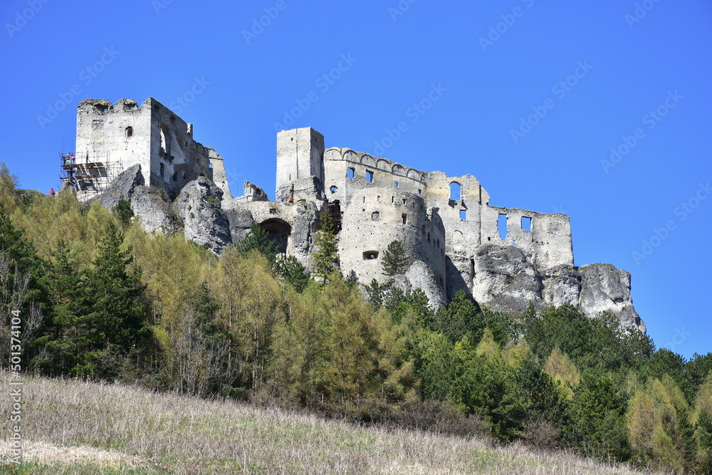 Ruins of stronghold Lietava in Slovakia