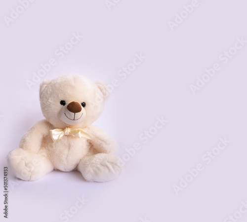 soft toy teddy bear