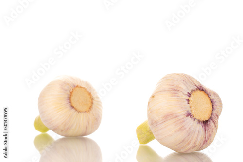 Two heads of early garlic, macro, isolated on a white background.