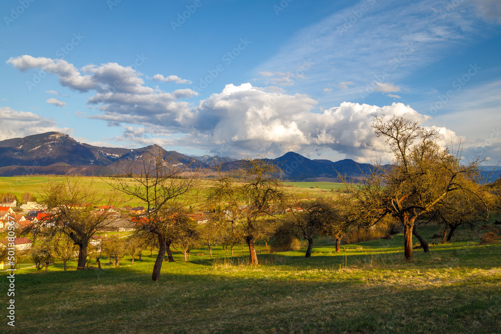 Sunny spring rural landscape, orchards on the edge of the village with a mountains on background.