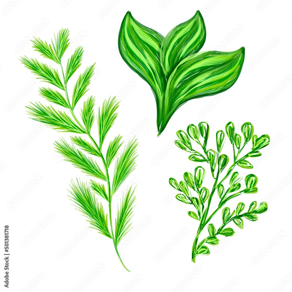 Fototapeta premium green leaves isolated on white