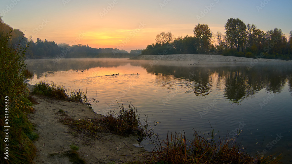 autumn sunrise over the Desna river and ducks in Chernihiv, Ukraine