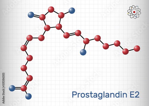 Prostaglandin E2, PGE2, dinoprostone molecule. It is used to induce labor or abortion. Structural chemical formula and molecule model. Sheet of paper in a cage.