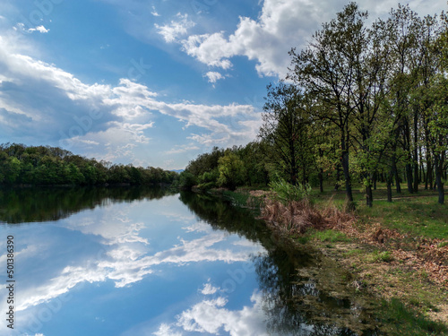 spring forest lake reflection
