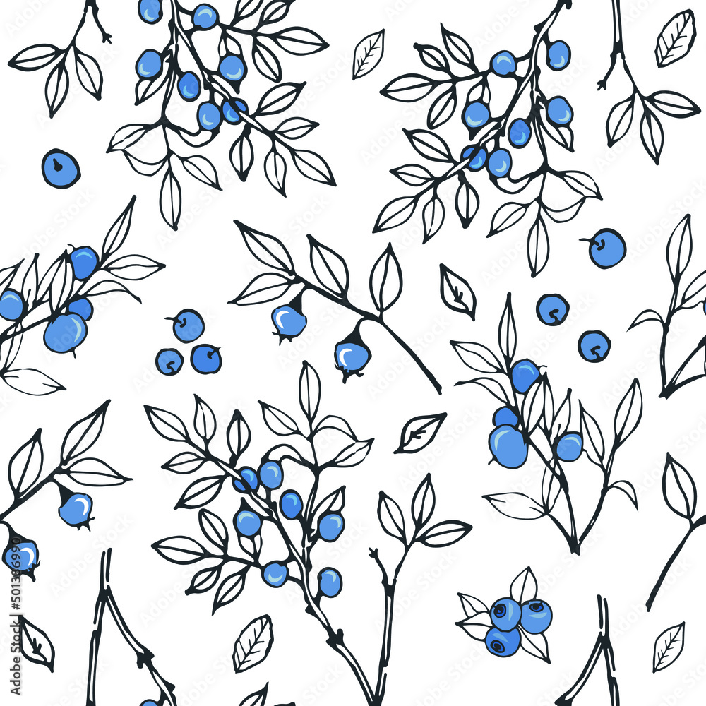 Seamless vector pattern with blueberries