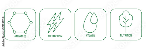 hormones, metabolism, vitamin, nutrition icons vector illustration