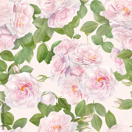 Hand drawn watercolor seamless pattern with pink rose flowers. © NataliaArkusha