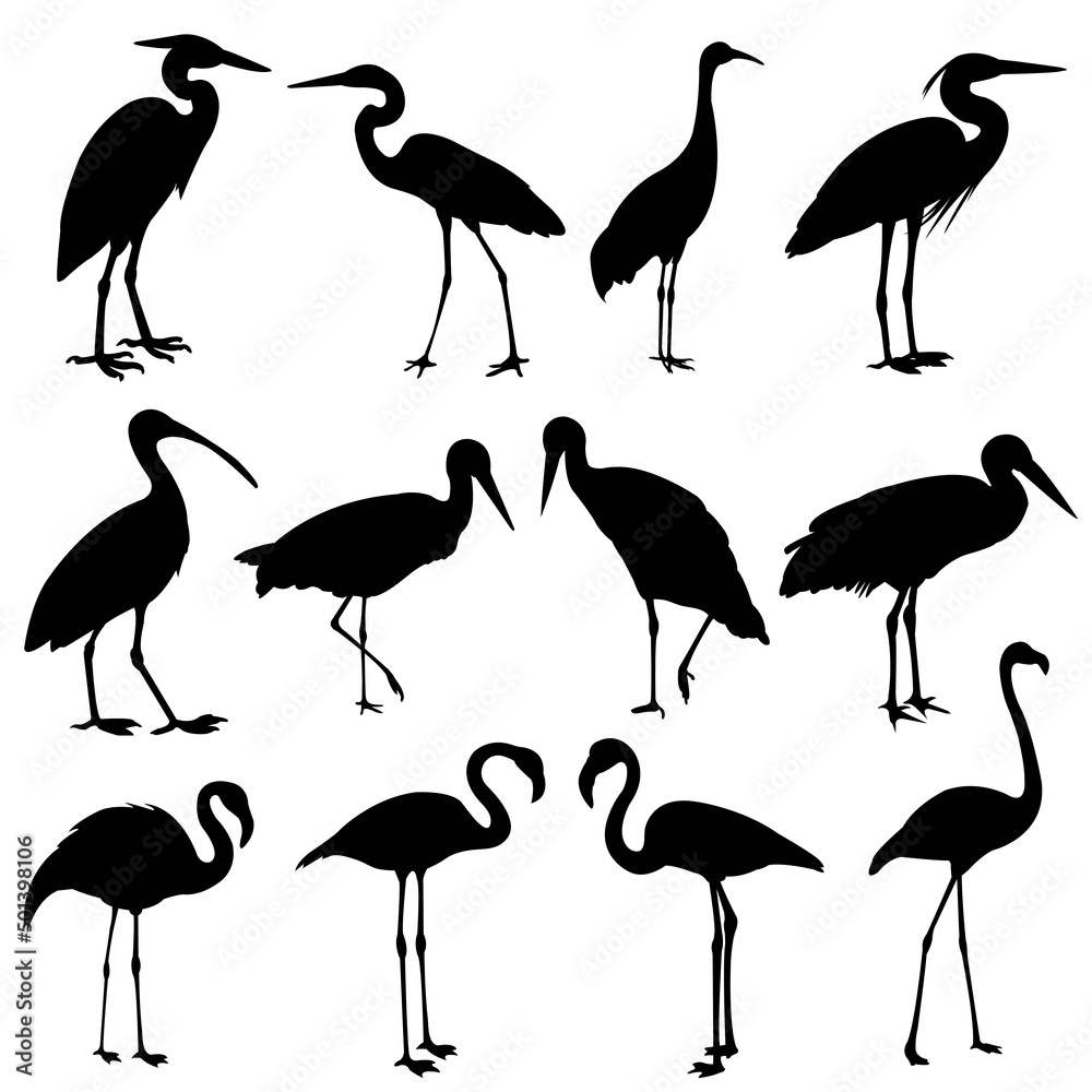 Fototapeta premium storks,cranes and flamingos silhouettes collection - vector