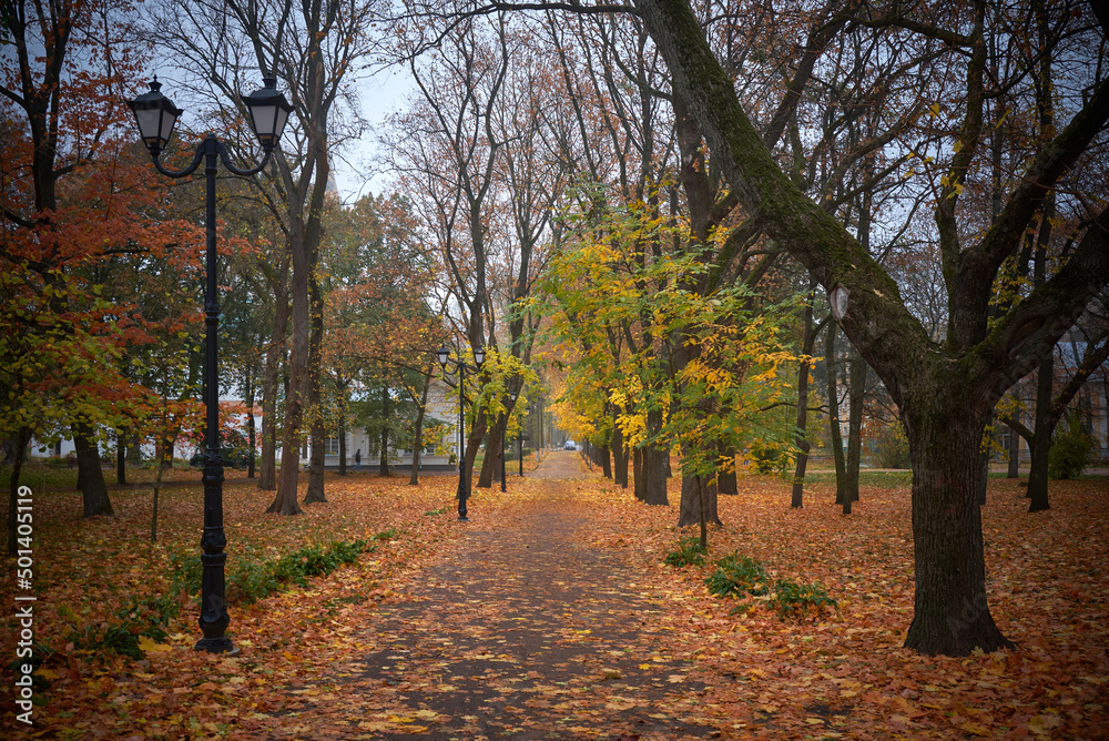 autumn trees in the park in Chernihiv, Ukraine