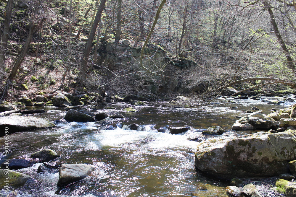 Bach im Wald Bach im Wald