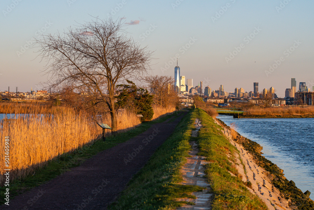 Water cain in perfect setting sunlight, textured nature background theme