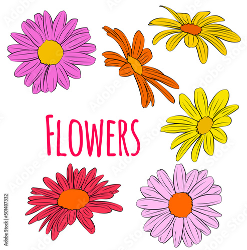 Set of colored flowers. Vector graphics