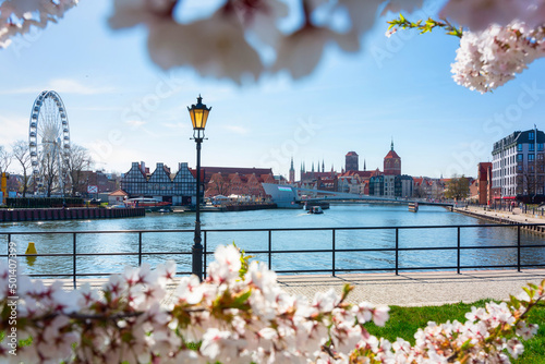 Spring over the Motława River in Gdańsk. Poland