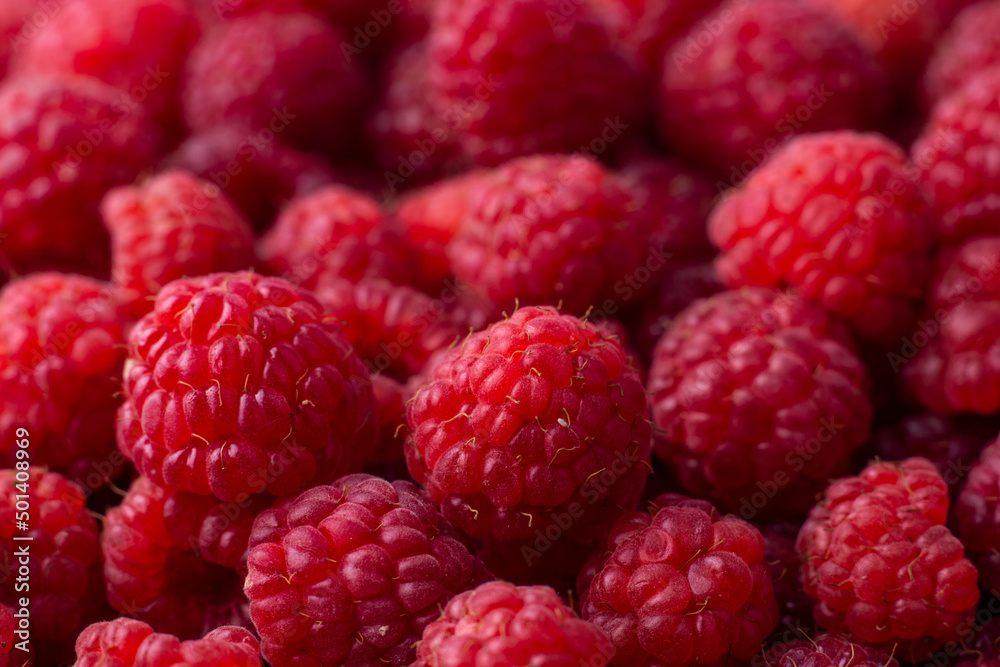 Raspberry. Ripe sweet raspberry background. Close up image. Raspberry. Ripe sweet raspberry background. Close up image.