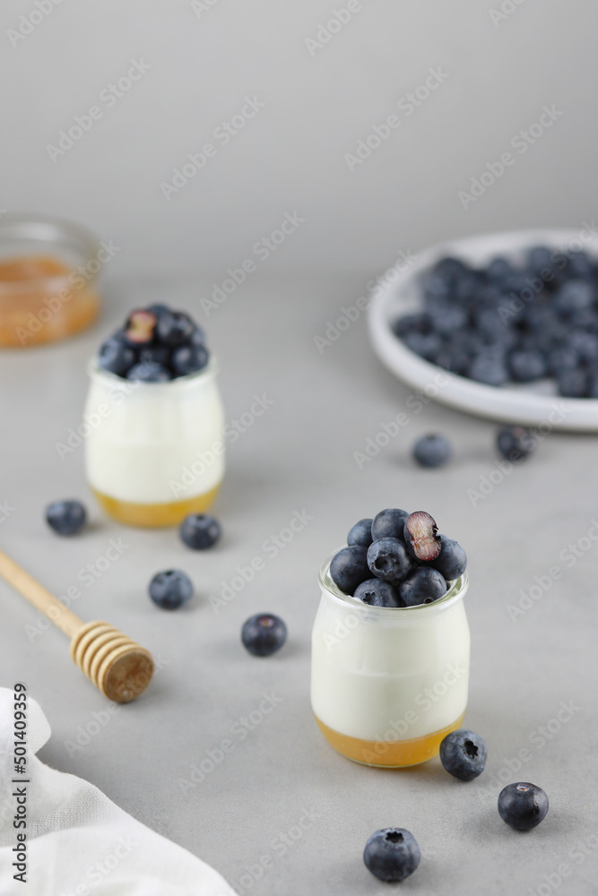 Homemade Italian dessert panna cotta with fruits jelly, fresh blue berries and honey on gray background. Homemade Italian dessert panna cotta with fruits jelly, fresh blue berries and honey on gray background.