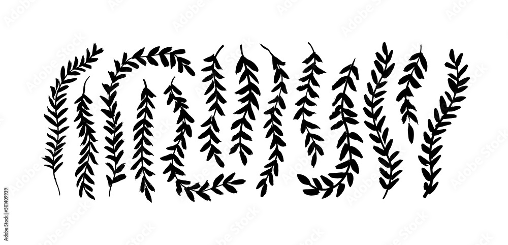 Black ivy silhouettes. Leaves on hanging creepers branches. Set of hand drawn vector vines and lianas isolated on white. Fern, seeded black eucalyptus. Tree curved branches with small leaves - obrazy, fototapety, plakaty 