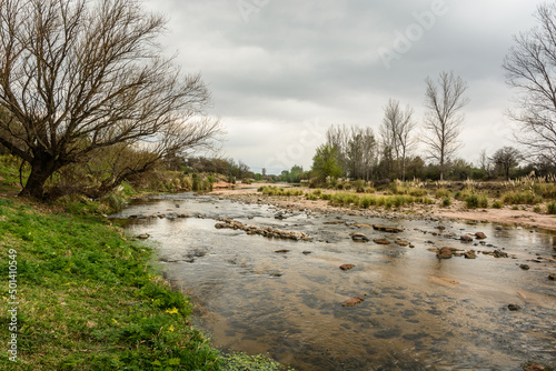 Fototapeta Naklejka Na Ścianę i Meble -  river in the spring