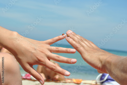 Hands of 2 people of the European race reach out to each other, 2 ladybugs sit on their fingers, in the background, the sea and the blue sky