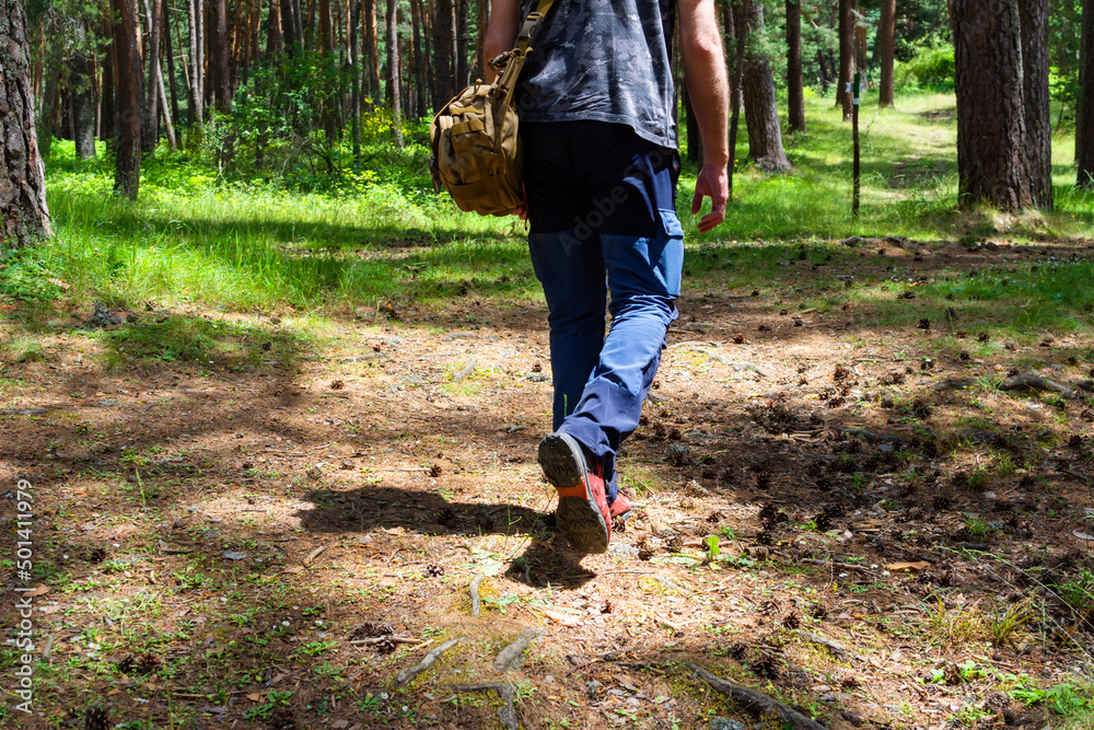 Man with his back turned walking through a pine forest with a travel bag over his shoulder through a lighted meadow Man with his back turned walking through a pine forest with a travel bag over his shoulder through a lighted meadow