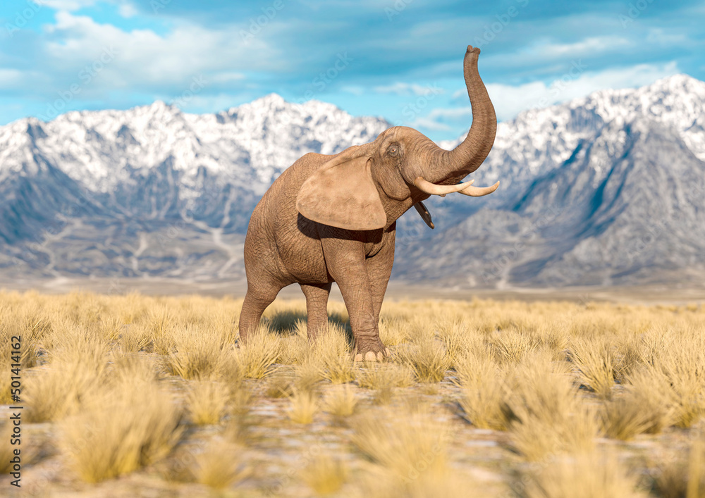 Fototapeta premium african elephant is doing a happy walk in plains and mountains