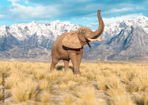 african elephant is doing a happy walk in plains and mountains © DM7